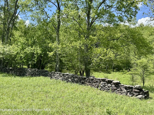 1114 Bull Run Rd, Margaretville, NY 12455 - photo 43