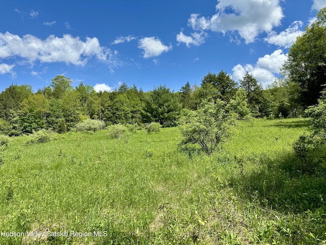 1114 Bull Run Rd, Margaretville, NY 12455 - photo 44