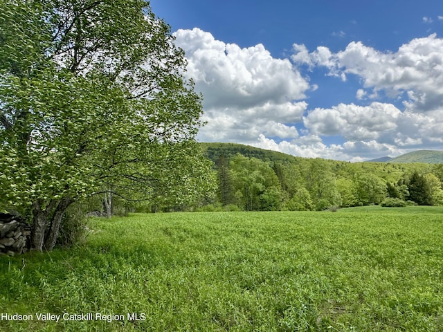 1114 Bull Run Rd, Margaretville, NY 12455 - photo 37