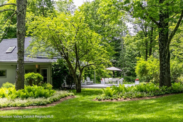 35 Abbey Rd, Mount Tremper, NY 12457 - photo 40