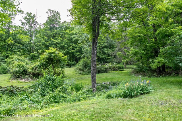 35 Abbey Rd, Mount Tremper, NY 12457 - photo 54