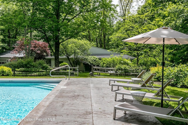 35 Abbey Rd, Mount Tremper, NY 12457 - photo 36