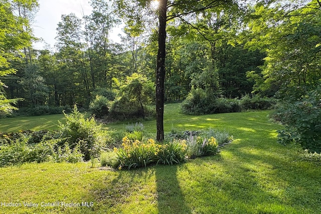 35 Abbey Rd, Mount Tremper, NY 12457 - photo 51