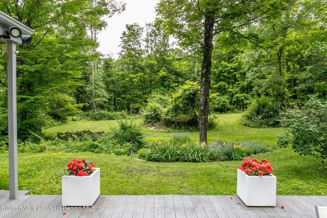 35 Abbey Rd, Mount Tremper, NY 12457 - photo 50