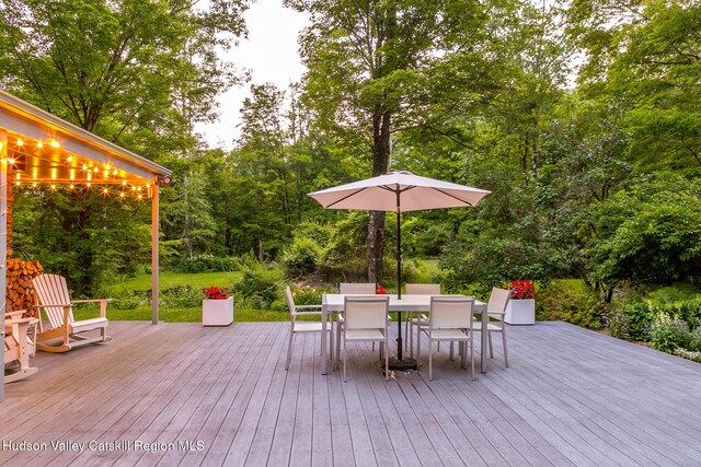 35 Abbey Rd, Mount Tremper, NY 12457 - photo 46