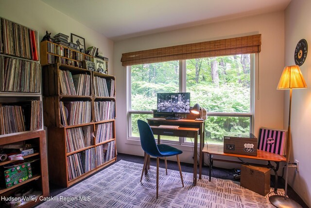 35 Abbey Rd, Mount Tremper, NY 12457 - photo 55
