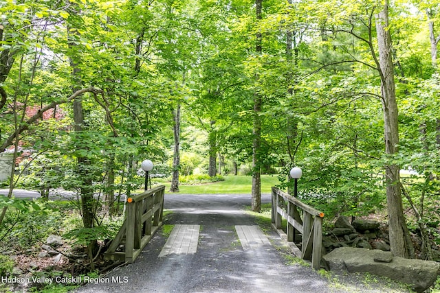35 Abbey Rd, Mount Tremper, NY 12457 - photo 2