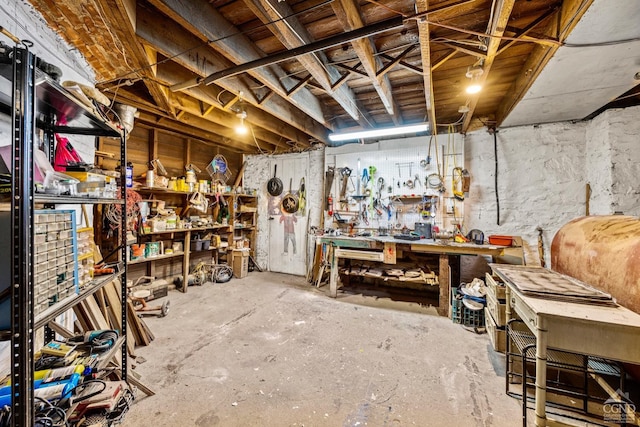 3630 Main St, Stone Ridge, NY 12484 - unfinished below grade area with a workshop area