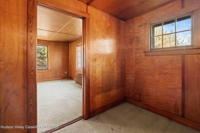 interior space with wooden walls, plenty of natural light, and light carpet