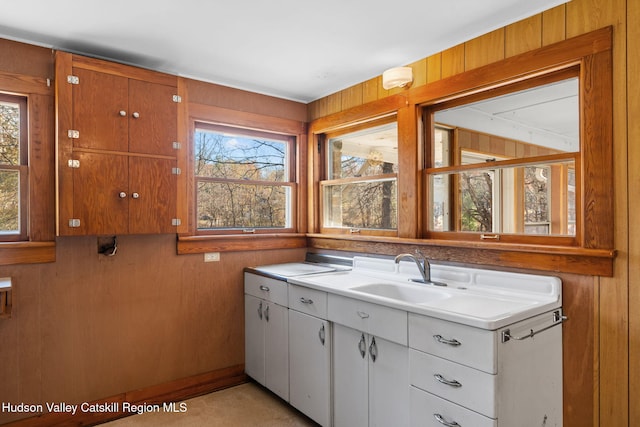 laundry area with sink and wooden walls