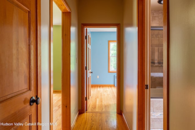115 Cedar Hill Rd, High Falls, NY 12440 - photo 16