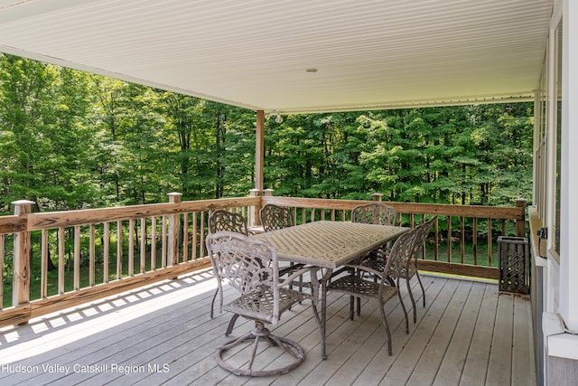 115 Cedar Hill Rd, High Falls, NY 12440 - photo 10