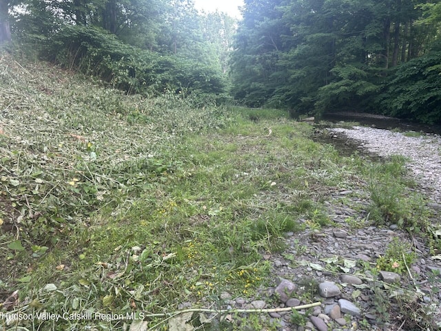 14601 Main St, Prattsville, NY 12468 - photo 36
