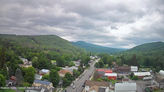 14601 Main St, Prattsville, NY 12468 - photo 42