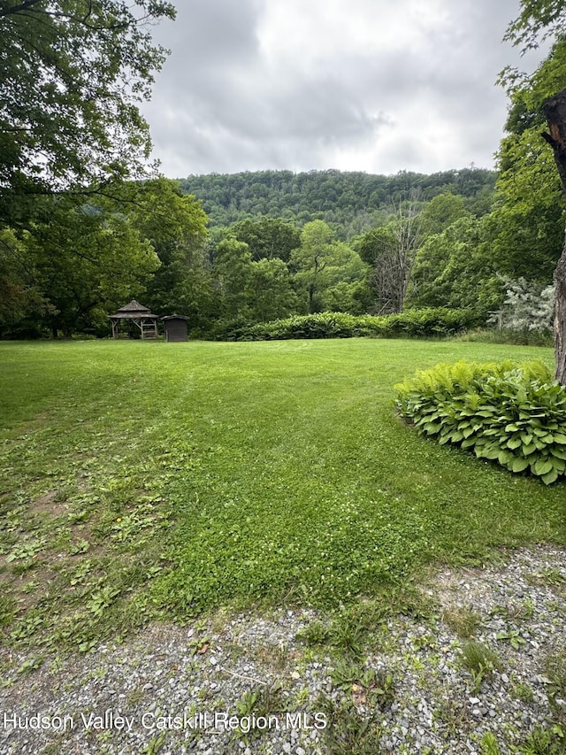 14601 Main St, Prattsville, NY 12468 - photo 27