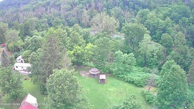 14601 Main St, Prattsville, NY 12468 - photo 40