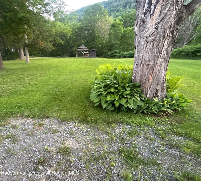 14601 Main St, Prattsville, NY 12468 - photo 3
