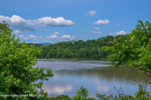28 Riverview St, Stuyvesant, NY 12173 - water view with a heavily wooded area