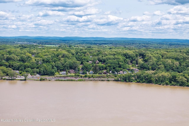 28 Riverview St, Stuyvesant, NY 12173 - bird's eye view of a large body of water