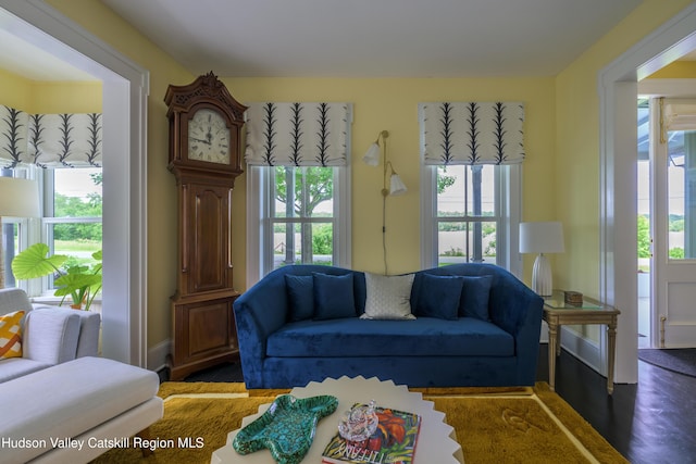 28 Riverview St, Stuyvesant, NY 12173 - living area featuring plenty of natural light and wood finished floors