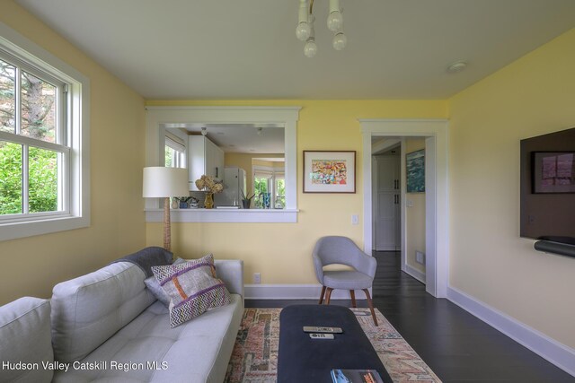 28 Riverview St, Stuyvesant, NY 12173 - living room featuring baseboards and dark wood-style flooring
