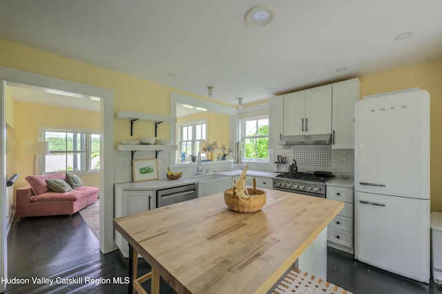 28 Riverview St, Stuyvesant, NY 12173 - kitchen with appliances with stainless steel finishes, butcher block counters, under cabinet range hood, decorative backsplash, and white cabinetry