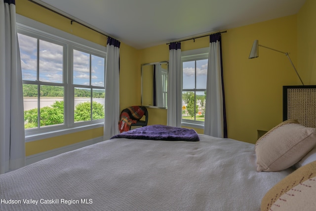 28 Riverview St, Stuyvesant, NY 12173 - bedroom featuring multiple windows
