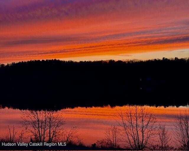 28 Riverview St, Stuyvesant, NY 12173 - view of nature at dusk