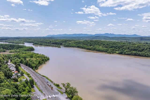 28 Riverview St, Stuyvesant, NY 12173 - drone / aerial view of a heavily wooded area and a water and mountain view