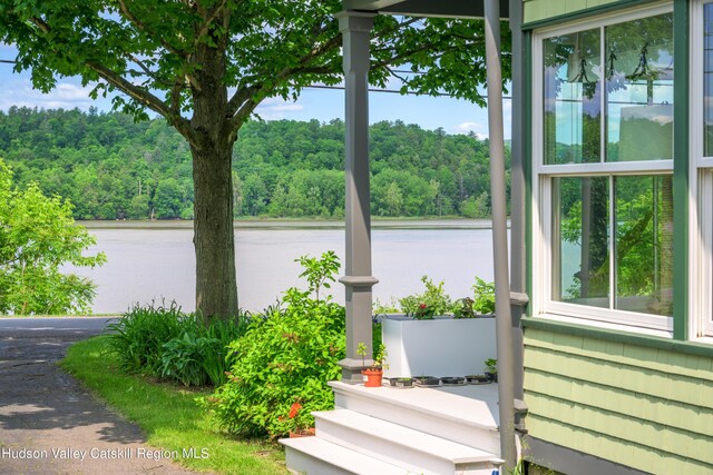 28 Riverview St, Stuyvesant, NY 12173 - water view featuring a forest