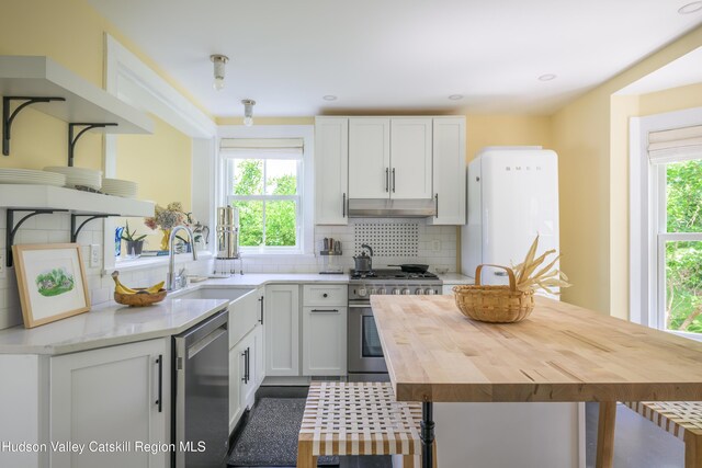 28 Riverview St, Stuyvesant, NY 12173 - kitchen featuring appliances with stainless steel finishes, wooden counters, open shelves, decorative backsplash, and under cabinet range hood