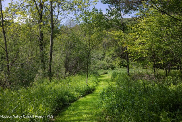 432 Bovina Rd, Bovina, NY 13740 - photo 28