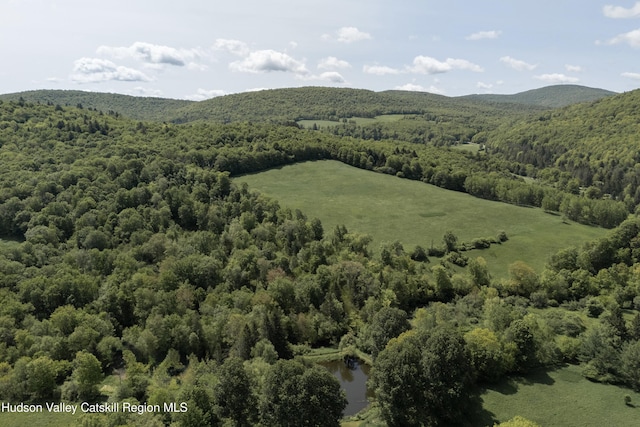 432 Bovina Rd, Bovina, NY 13740 - photo 33
