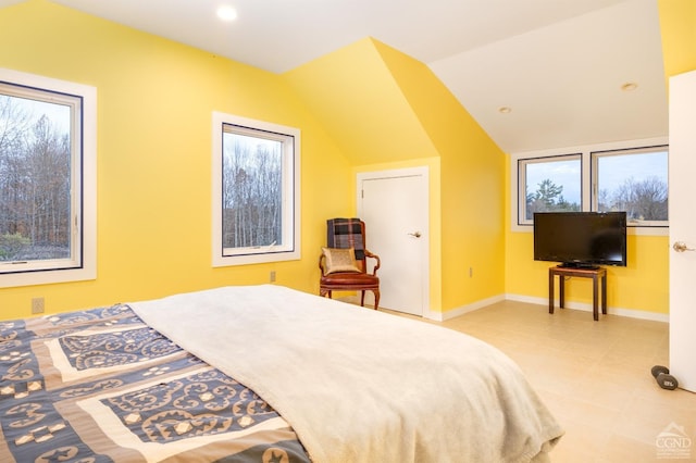 237 Christian Hill Rd, Cooperstown, NY 13326 - bedroom featuring baseboards and lofted ceiling