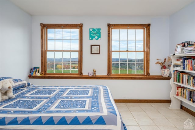 237 Christian Hill Rd, Cooperstown, NY 13326 - bedroom featuring baseboards