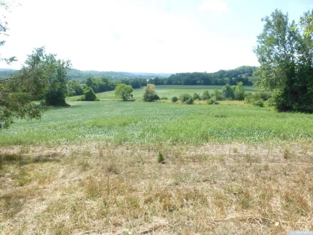 0 Dam Rd, Ancram, NY 12502