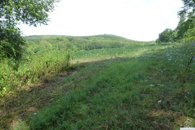 0 Dam Rd, Ancram, NY 12502