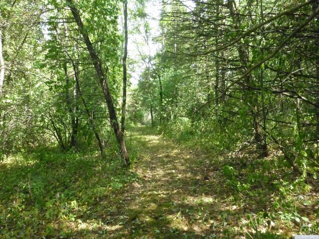 0 Dam Rd, Ancram, NY 12502