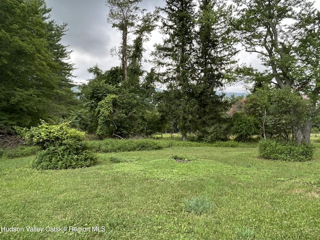 969 Blue Mountain Rd, Saugerties, NY 12477 - view of yard