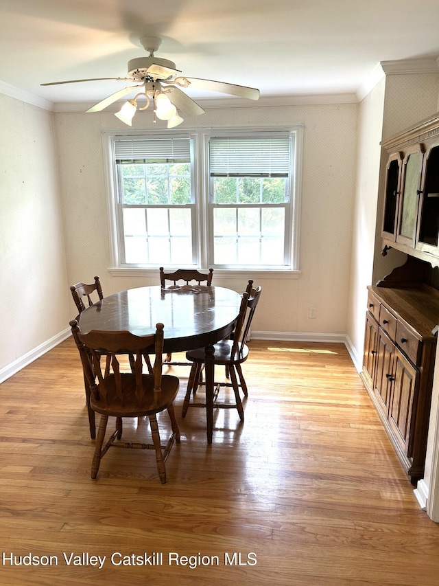 969 Blue Mountain Rd, Saugerties, NY 12477 - dining space with crown molding, plenty of natural light, light wood-type flooring, and ceiling fan