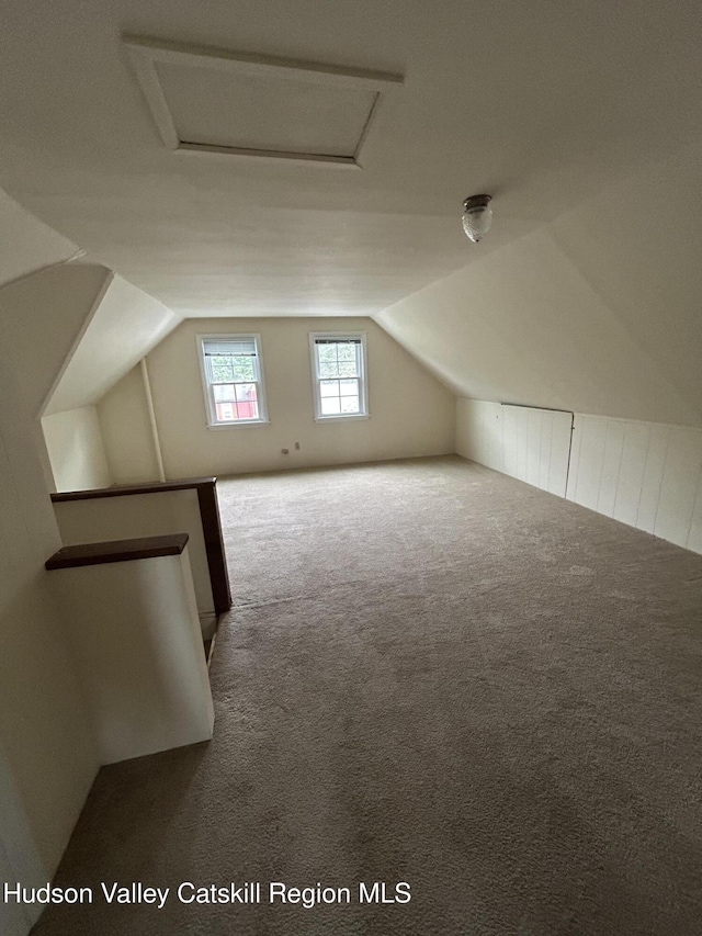 969 Blue Mountain Rd, Saugerties, NY 12477 - additional living space with attic access, carpet, and vaulted ceiling
