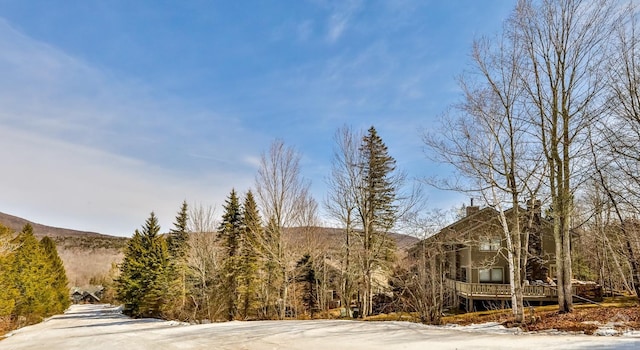 92 Highlands Ln Unit A8, Hunter, NY 12442 - view of street