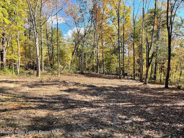 Listing photo 2 for LOT1 Crestview Ridge Rd, Stone Ridge NY 12484