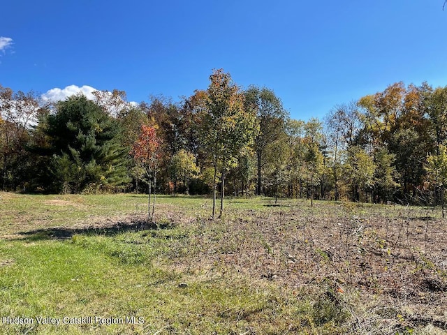 Listing photo 3 for LOT1 Crestview Ridge Rd, Stone Ridge NY 12484