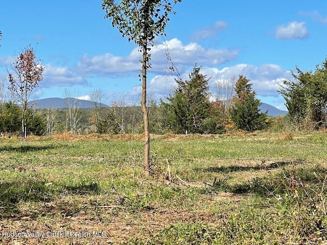 LOT1 Crestview Ridge Rd, Stone Ridge NY, 12484 land for sale