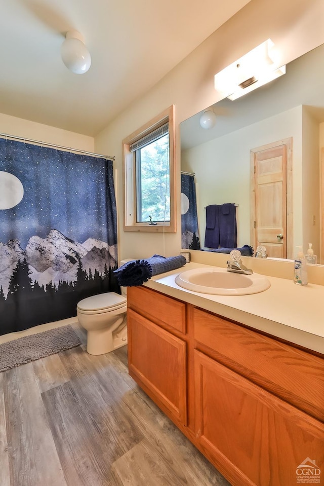 full bathroom featuring vanity, toilet, and wood finished floors