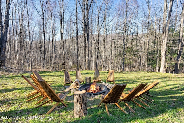 view of yard featuring an outdoor fire pit