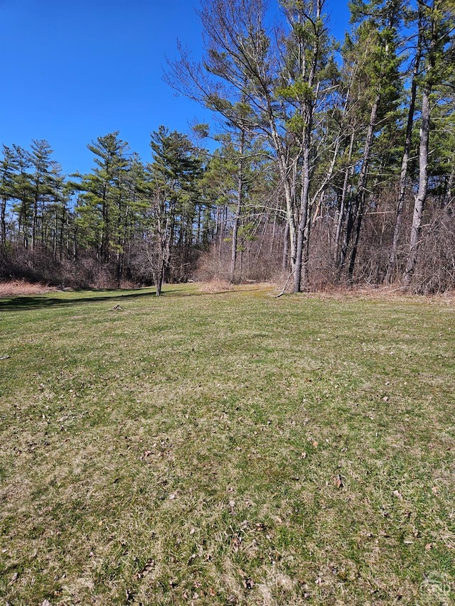 186 Meadow Brook Ln, Greenville, NY 12083 - view of grassy yard