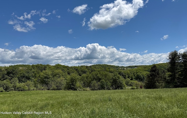 LOT5 Smithfield Rd, North East, NY 12546
