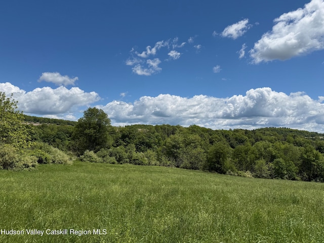LOT5 Smithfield Rd, North East, NY 12546